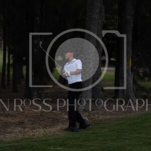 ALL PHOTOS