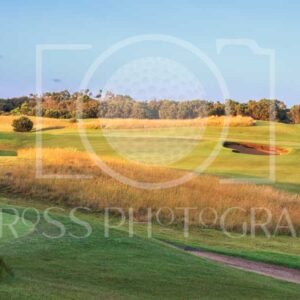 Legends & Open Course
